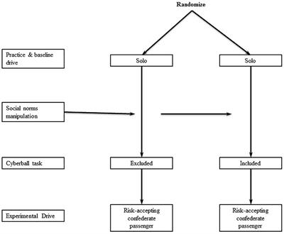 The Effect of Teenage Passengers on Simulated Risky Driving Among Teenagers: A Randomized Trial